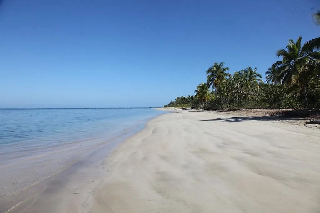 Chaykovski Boutique H Las Terrenas Dominican Republic